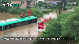 [JPG 뉴스] 불어난 물에 잠긴 시내버스...필사의 탈출