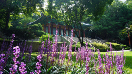 [산행포인트] 나무 그늘 아래로, 서울 둘레길을 걷다