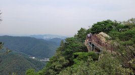 [산행 포인트] 안양 수리산에도 출렁다리가 있다
