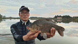 영암 태간지 45cm 대물 붕어 포함 월척 행진, 지금도 진행 중