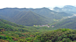 [산행포인트]  불갑사에서 꽃무릇길 따라 용천사까지