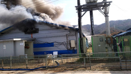 강원 철원 돼지농장에서 불...돼지 3천여 마리 폐사