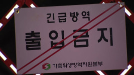 경북 상주 산란계 농장 고병원성 AI 확진