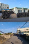 [다시, 걷다] (1) 제주 월령 선인장 마을, 고요와 고립의 이정표