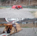 파주 박석캠핑장에서의 캔맥주 데이트...지친 아내를 위한 소소한 위로
