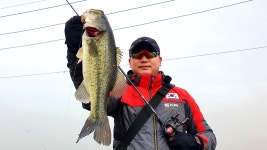 화성 남양호, 충남 수로권 예민한 입질에도 런커급에 가까운 배스 입질