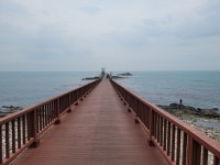 구룡포 장길리 복합낚시공원, 전갱이 잡던 노인의 추억