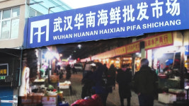 코로나19 최초 환자는 中우한 수산시장 노점상