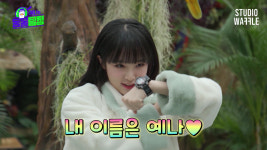 [Y터뷰①] 황다원 PD 예나는 동물탐정 시즌2? 상황 나아지면 해외 진출