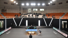 꽃가마탁구대· 무인중계 볼거리 풍성...프로탁구 출범 눈앞