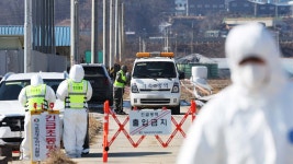 충북 괴산 종오리·충남 당진 농장에서 고병원성 AI