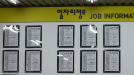 8월 취업자 80만 7천명↑...증가 폭 석 달 째 둔화
