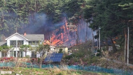 [속보] 강풍·건조경보 속 강원 강릉시 운정동에 산불...대응 1단계