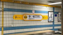 [속보] 분당선 수내역 에스컬레이터 역주행...3명 중상·11명 경상
