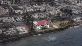 다 불탔는데 홀로 멀쩡...하와이 빨간 지붕 집 비밀 밝혀졌다
