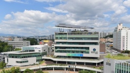 광주 근린공원서 비둘기 21마리 폐사…고의 범죄 가능성 조사