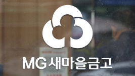새마을금고 감독 강화 금융위원회 상호금융팀 출범