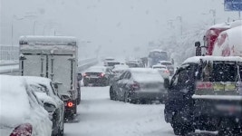 [속보] 경기 안양판교로 통제...차량 회차 안내