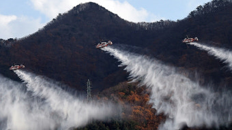 [속보] 산림청 