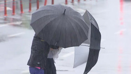 [속보] 전남 완도·흑산도·홍도 호우경보 발령