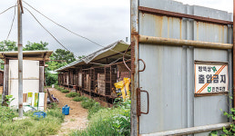 롯데家 땅에서 벌어진 ‘불법 개농장’ 이전투구 내막