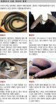 장어 지금 먹어라! 내년엔 비싸진다