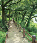 노고단 맥이 내려와 멈춘 곳, 전남 구례 용호정