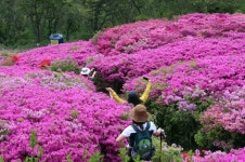 나들이 많은 주말 응급처치법 이것 하나면 끝!