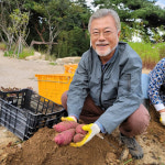 감사원 때린 文, 평산마을에서 고구마 캐며 함박웃음