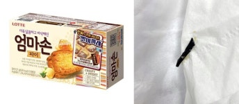 엄마손파이서 나온 3cm 고무, 롯데제과 당사와 무관