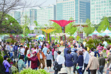 5월 경주 초록 물결이 넘친다