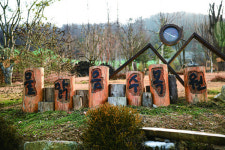 잣 향기 이불 삼아 천상의 하룻밤...경기 남양주 축령산자연휴양림