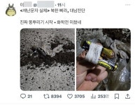 전국서 北 오물 풍선 목격 이어져…150여개 발견