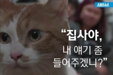 [스브스뉴스]하루종일 끊임없이 우는 고양이…귀여운 반전
