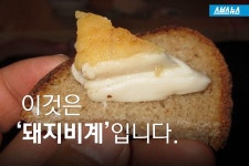 [스브스뉴스]빵 위에 치즈 대신 돼지비계를?…음식의 유래