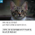 [카드뉴스] 살찐 거 아니에요 부은 거예요