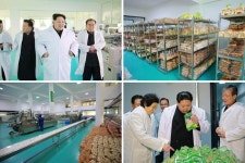 [슬라이드 포토] 김정은 체육인 종합식료공장 시찰…최룡해·김여정 수행