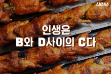 [스브스뉴스]인생은 B와 D 사이의 C다