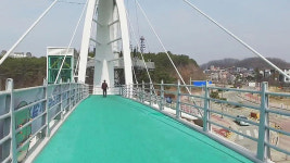 [취재파일] 등굣길에 숨진 중학생…귀막은 행정이 빚은 참사