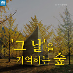 [카드뉴스] 오드리 헵번 아들이 제안한 세월호 숲…완공 모습