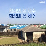 [스브스뉴스]환상의 섬 제주, 환장의 섬 제주