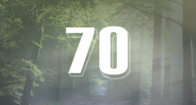 [마부작침] 힐링의 그 곳…수목원