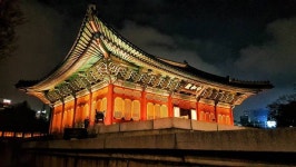 [스브스뉴스]궁의 낮과 밤