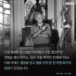 [스브스뉴스]절망도 예술로 승화시킨 무명 화가…그 이름 피카소