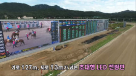 [이슈] 확 달라진 경마공원 주말에는 테마파크로 변신