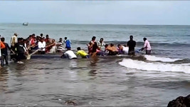 [뉴스pick] 해변 밀려온 대왕고래…달려든 수십 명의 사람들