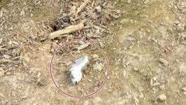철원 민가 인근에 포탄 1발 떨어져 주민들 혼비백산