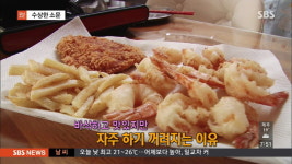 [뉴스pick] 이것 넣고 튀기면 폐식용유 다시 쓸 수 있다?…소문의 진실