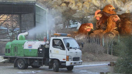 양산 산란계 이어 고성 오리도…경남 AI 확산 조짐