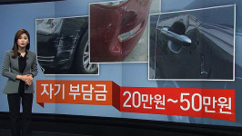 [취재파일] 벽돌, 각목 그리고 빗자루…그들이 車에 흠집을 내는 이유
